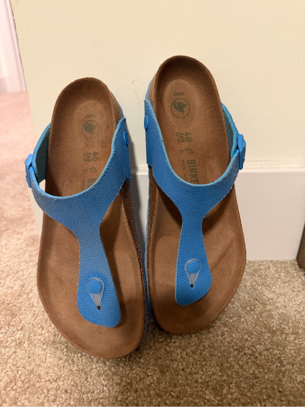 Birkenstock Blue Thong Sandals with Contoured Footbed